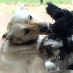 Vol.3 Ft. BigBodyFlemm