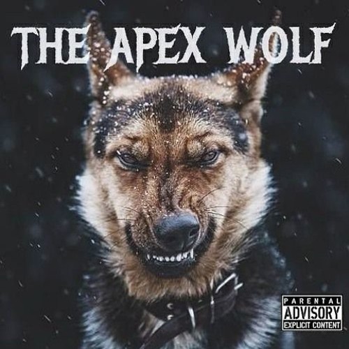 Best Apex Provider Wolf 2026 - Expert Review - The Director's Cut