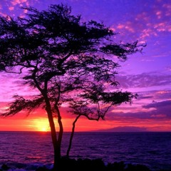 FlUeNtD featuring '2FLY' ...........Hard Place