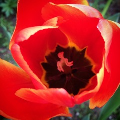 GUITARHYTHM ピアノ弾き語り