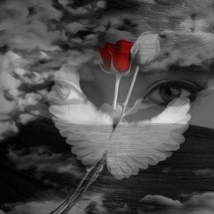 Sergey Grischuk- Night