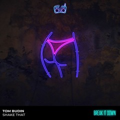 Tom Budin - Shake That