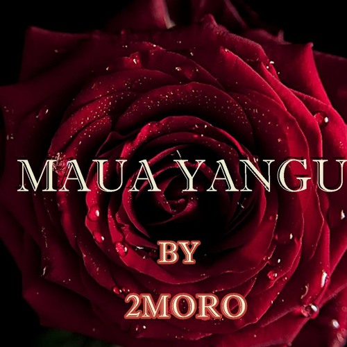 MAUA YANGU by 2MORO (Audio)