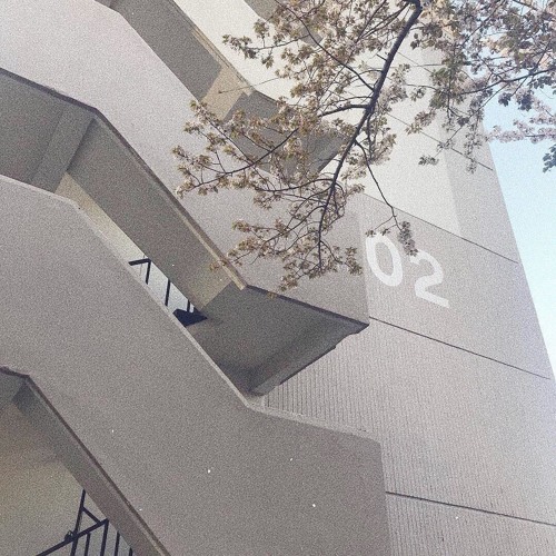 𝐭𝐫𝐚𝐩 𝐫𝐞𝐪𝐮𝐢𝐞𝐦