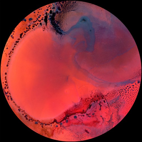 Kelpe - Intermission