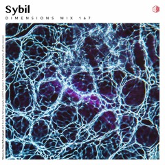 DIM167 - Sybil