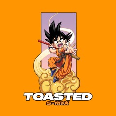 TOASTED (S-MIX)