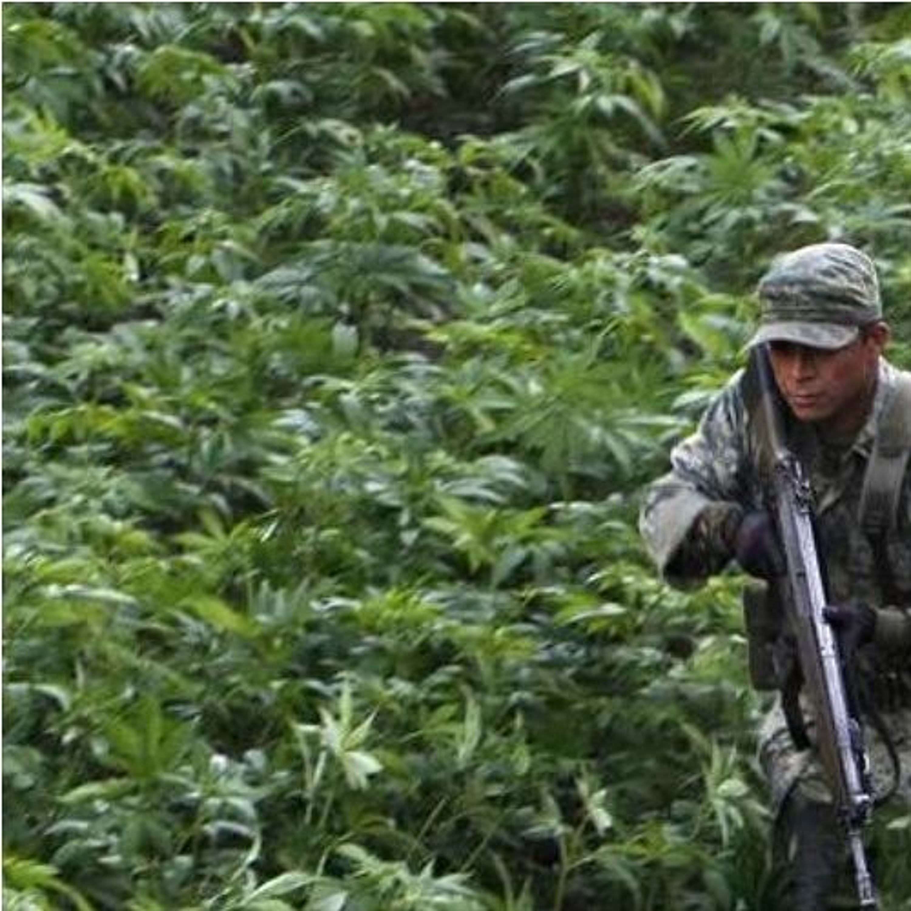 Ninja Gaijin\'s soundcloud