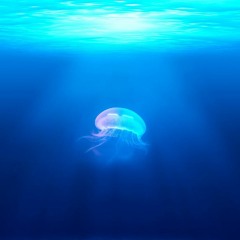 Meduza Party (radio version)