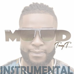 Tony T The Producer - Mood (Instrumental)