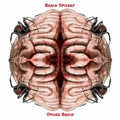 Spider Brain