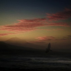 Charlotte Devine - "Quietude"