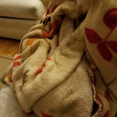 Blanket