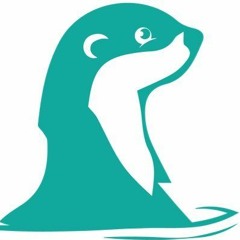 Just Finn @ Splashy Fen 2019