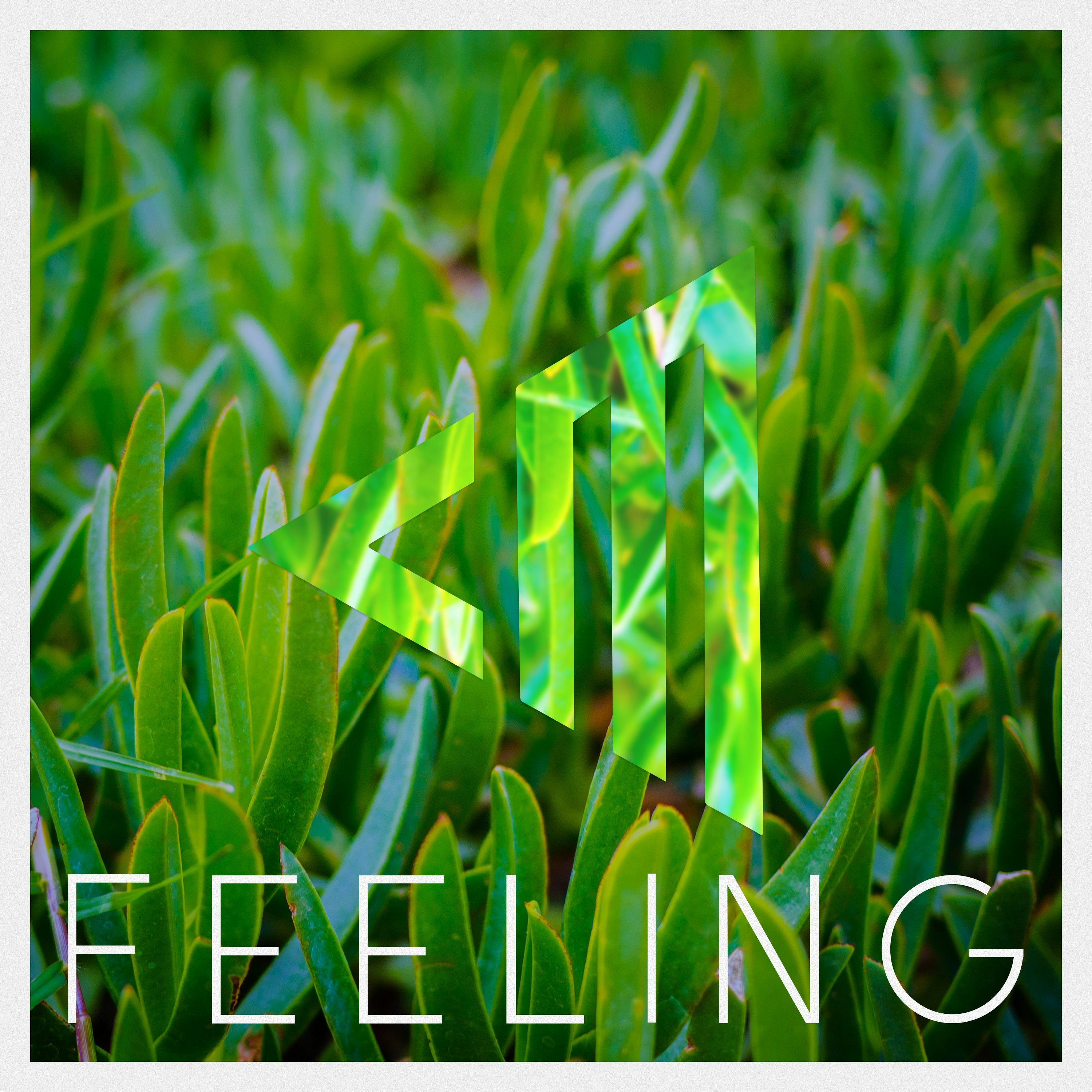 Feeling episode artwork