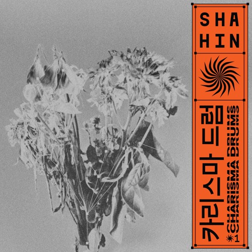 Shahin - Charisma Drums