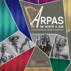 Las chiapanecas. Cristina Cabrera