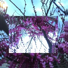 ck - speedy [146bpm]