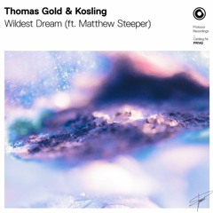 Thomas Gold & Kosling feat. Matthew Steeper - Wildest Dream (WildHearts Remake)| FLP