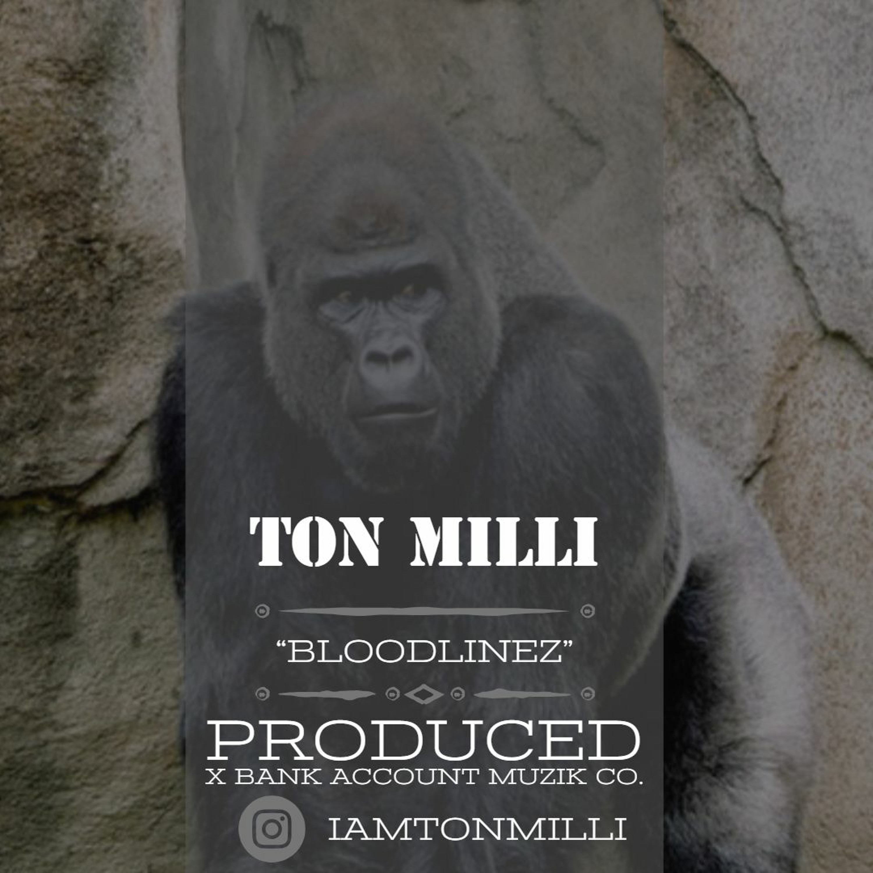 Ton Milli Muzik