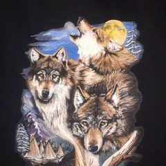 Wolf in the Night - Otis g x Tyler Tea