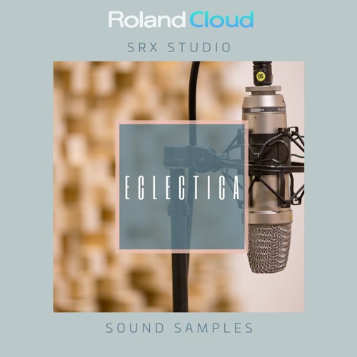 Hiding Inside - SRX STUDIO