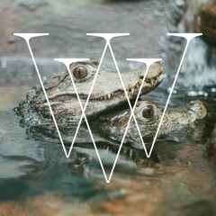 Flirting Crocodiles