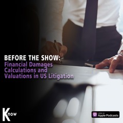 Before The Show #90 - Financial Damages Calculations And Valuations In US Litigation