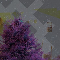 pitch blʌck mix SHIS