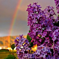 ما زال نبينا فينا ~ 🌸