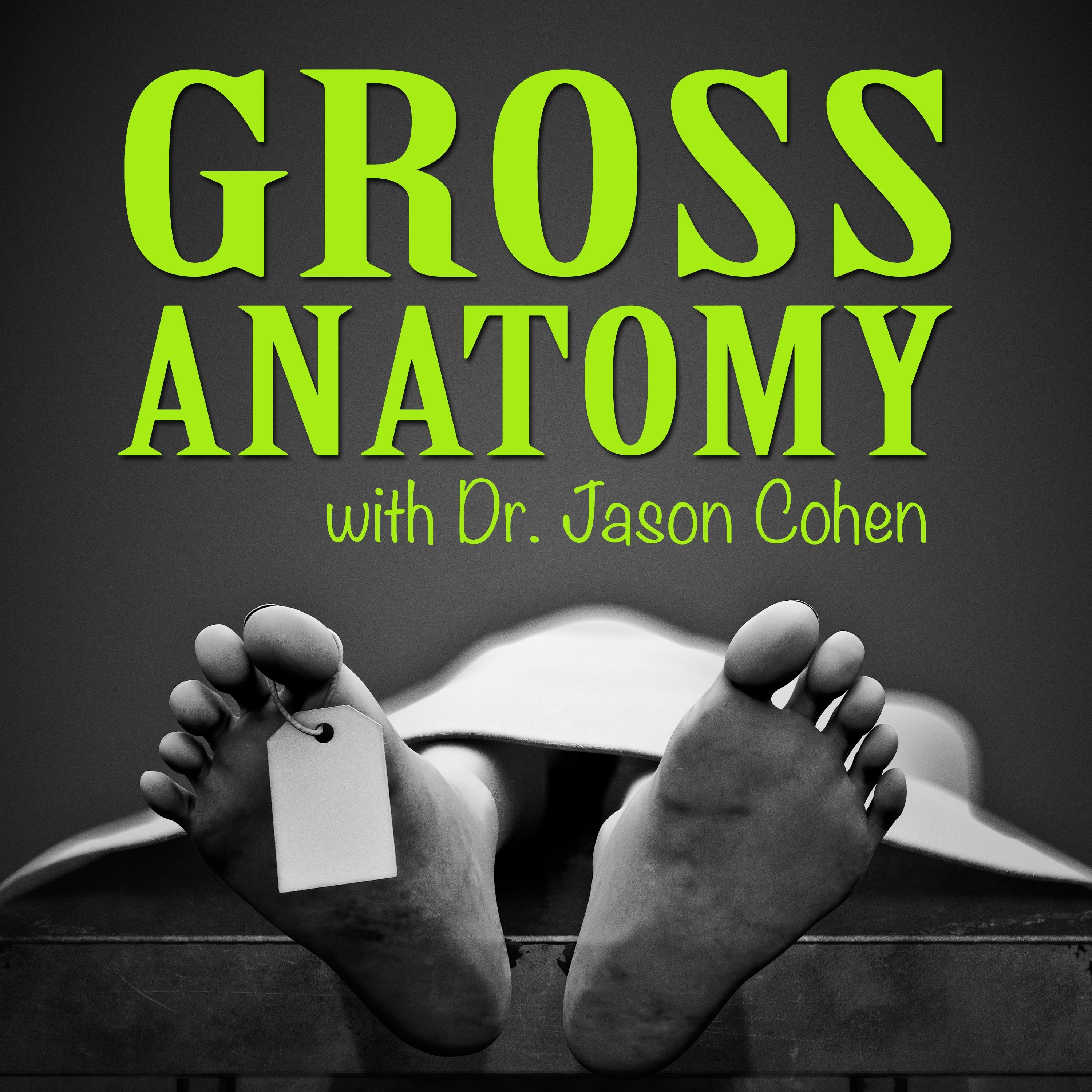 Gross Anatomy