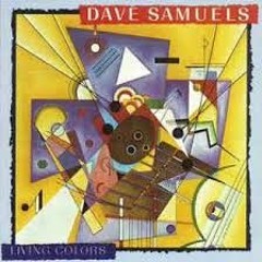 Dave Samuels "New Math" DJ Duckcomb Edit