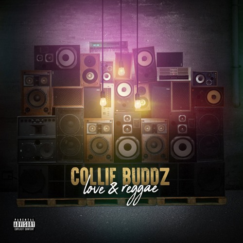 Collie Buddz - Love & Reggae (Dj Slappy Clean Edit) by Dj Slappy ...