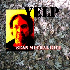 Sean Mychal Rice  -  Broken Record