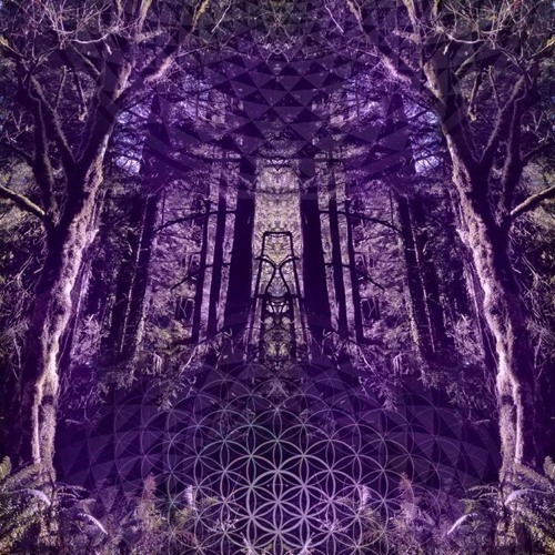The Purple Forest