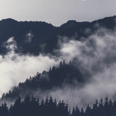 White Fog