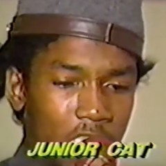 Junior Cat - Red Robin Bring Reggae Music Non Stop