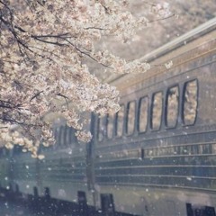 Hoa Khai  - Châu Thâm - 花開 - 周深