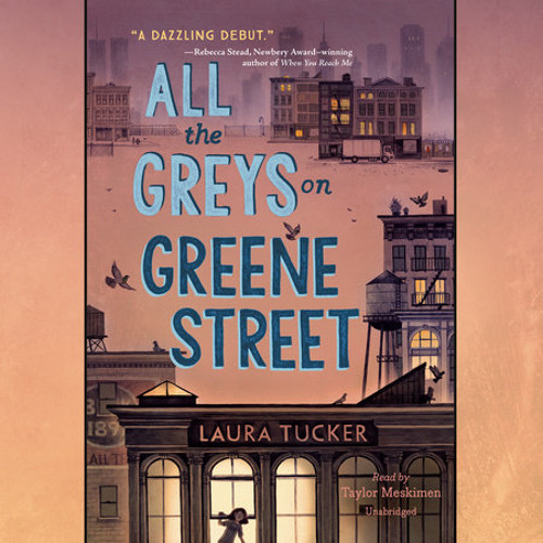 All the Greys on Greene Street by Laura Tucker, read by Taylor Meskimen, Allyson Ryan