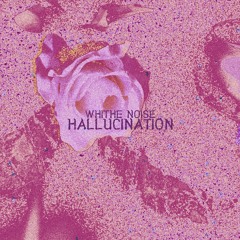 Hallucination (환각)
