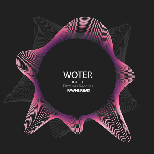 DZR2077 : Woter - Back (Pavane Remix)