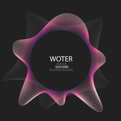 DZR2083 : Woter - Back (Gosize Remix)