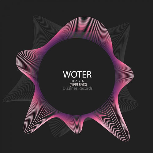 DZR2083 : Woter - Back (Gosize Remix)