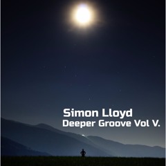 Deeper Groove Vol V.