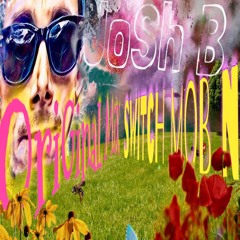 JoSh B - SwitCh Mob N (OriGinaL MiXx) [FREE DOWN LOAD]