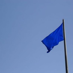 Blue Flag 1