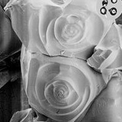 [Free DL] seatrus - Hail Blizzard