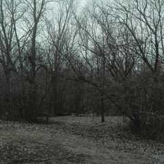 hold me under a blanket in the woods and tell me you love me.