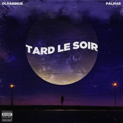 Tard le soir (feat. Palmae) (Prod. Oldasinus)