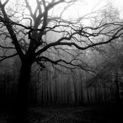 Mantal Tribe . Le Son qui Vous Font Vibrer (1) (1)